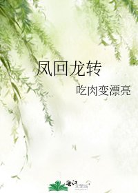 凤回龙转